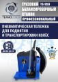 Комплект TS-26D Шиномонтажный стенд+TS-950 Балансировочный станок #12