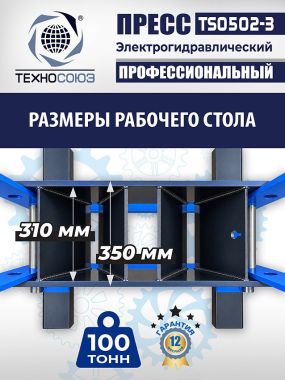 Пресс гидравлический 100 тонн с электроприводом, TS0502-3 #9
